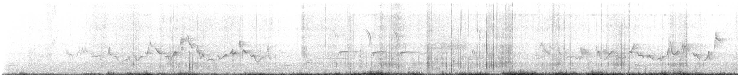 Eastern Warbling Vireo - ML633748439