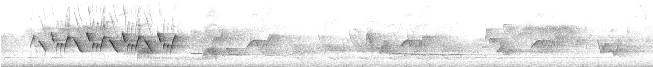 צהוב-גרון - ML633751647