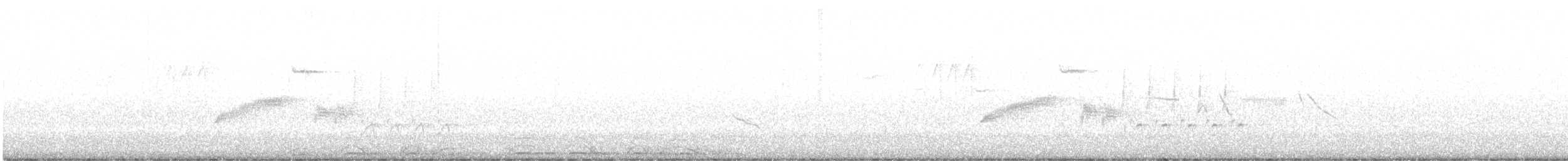 Barred Owl - ML633752052