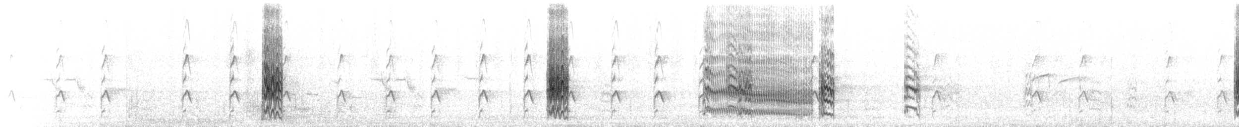 白翅黑燕鷗 - ML63375971