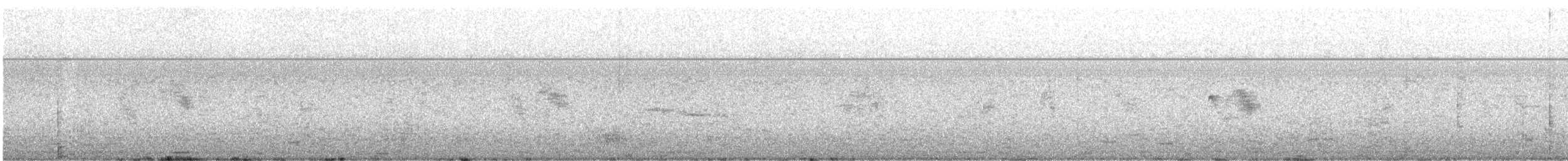 new world martin sp. (Progne sp.) - ML633760130