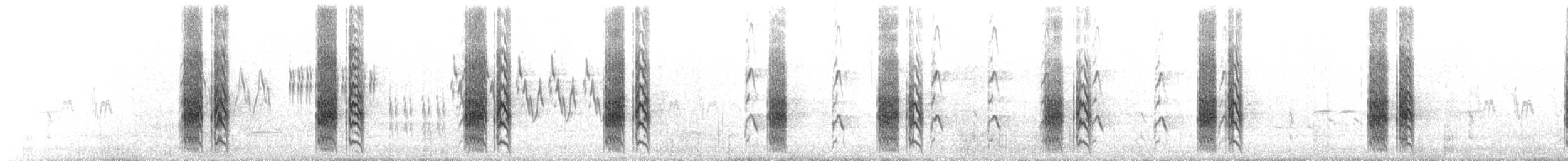 rybák bělokřídlý - ML63376081