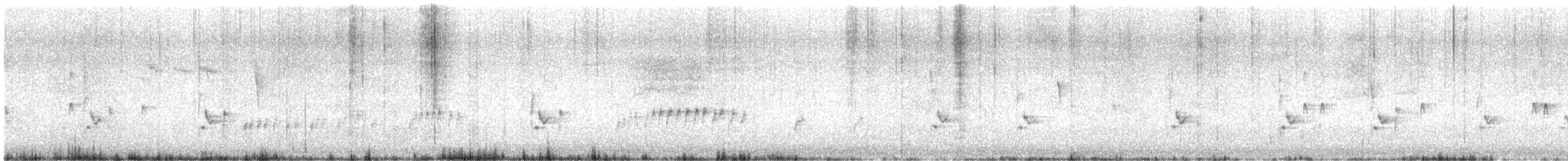 Carolina Wren - ML633772452