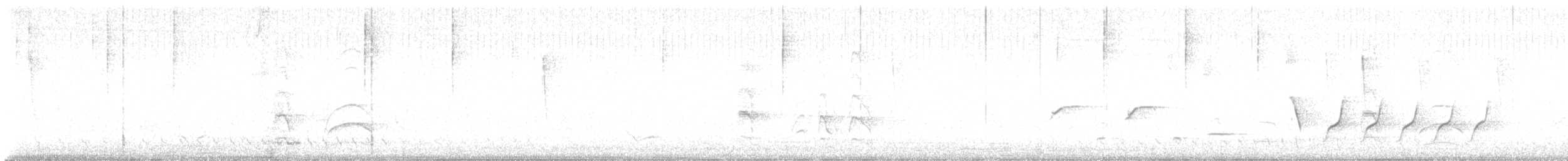 Banded Wren - ML633773437