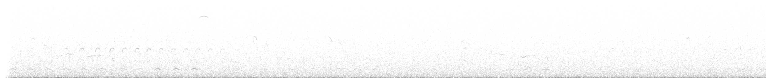 Pale Chanting-Goshawk - ML633775111