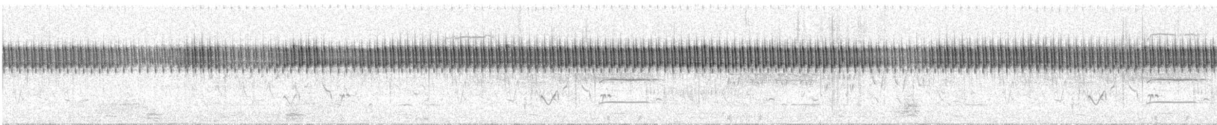 Strichelschwirl - ML63377551