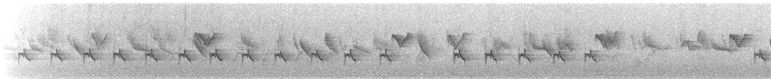 Prinia à sourcils - ML633777676