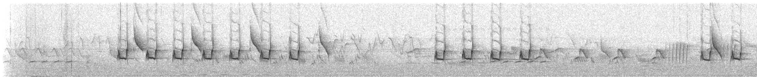 Prinia à sourcils - ML633778177