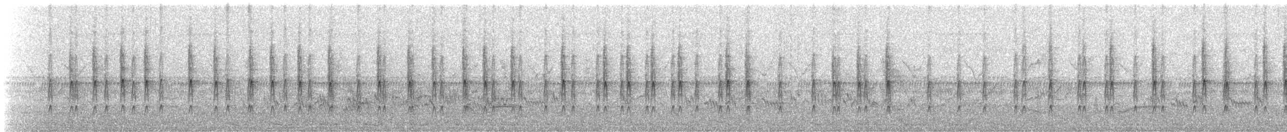 Prinia à sourcils - ML633778219