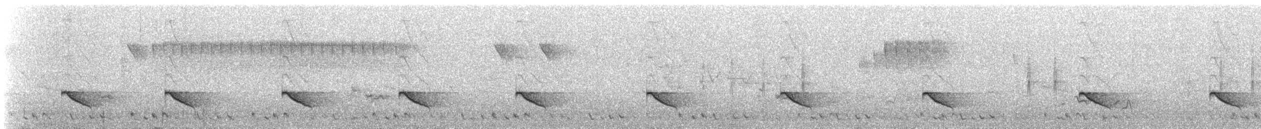 Prinia à sourcils - ML633778526