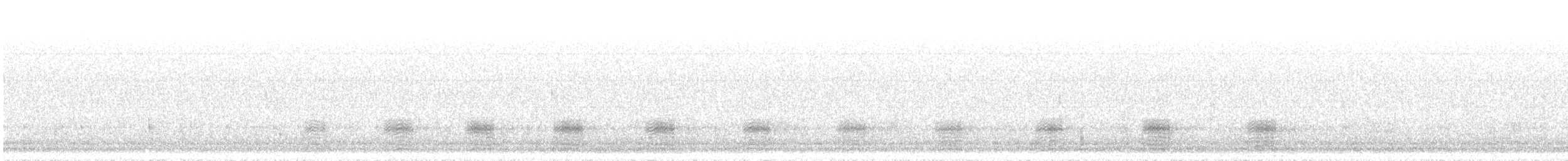 Canard noir - ML633780639