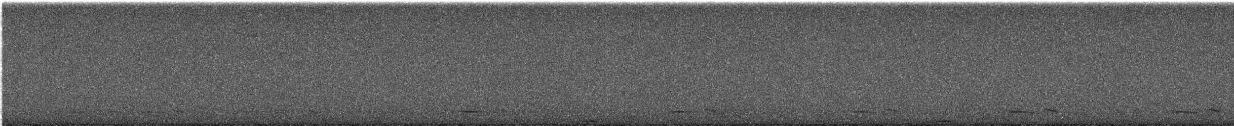 アメリカコノハズク - ML633790096