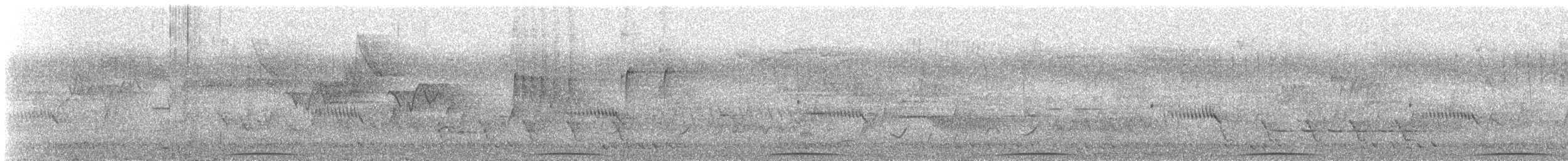 Phasianelle onchall - ML633798257