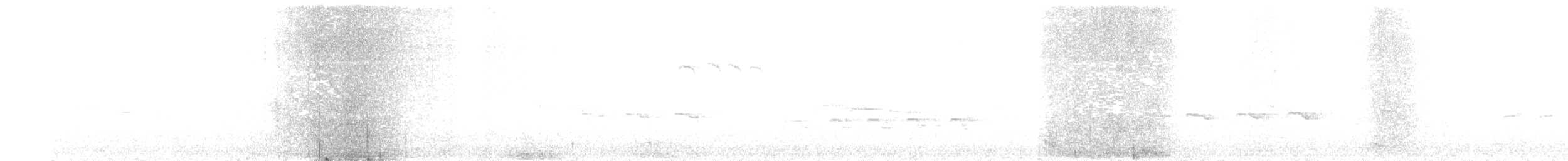 Green-backed Tit - ML633798550