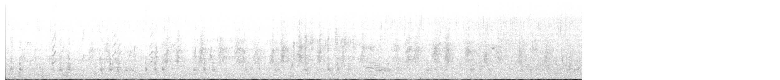 Canard noir - ML633810058