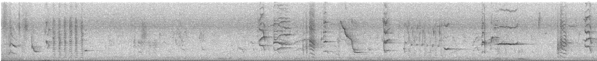 Щетинкопер великий - ML633811159