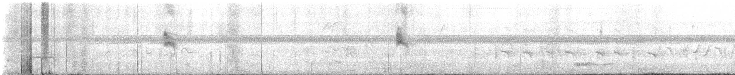 Schieferrücken-Königstyrann - ML633815318