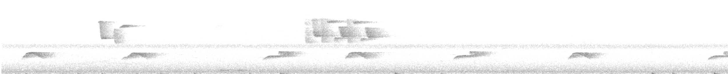 Smoke-colored Pewee - ML633819298