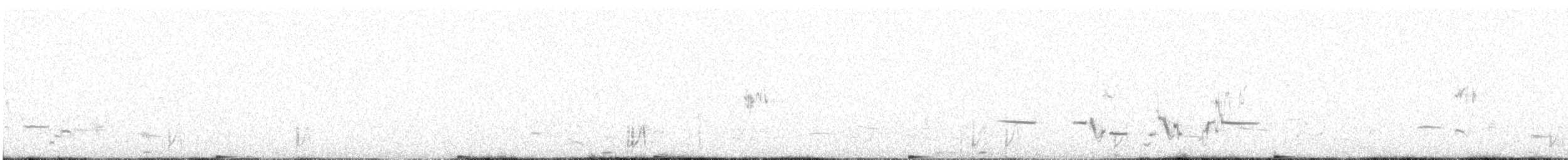 Greater Sage-Grouse - ML633824834