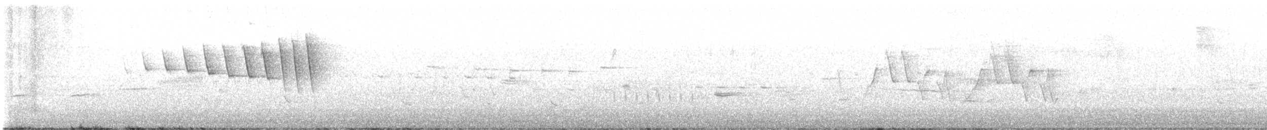 Wilson's Warbler - ML633834436