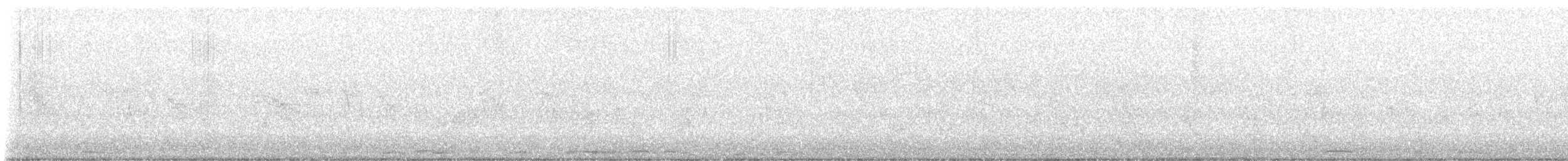 White-winged Dove - ML633836912
