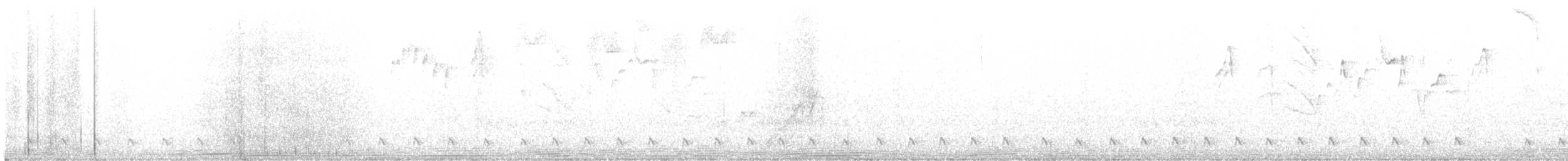 Blackish Tapaculo - ML633838828