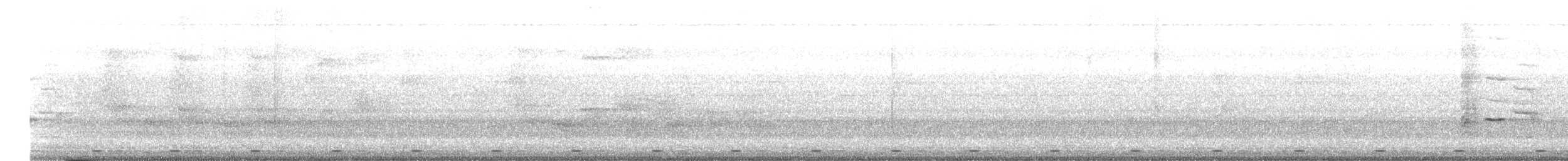 Coppersmith Barbet - ML633843070