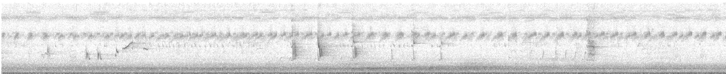 Bar-breasted Honeyeater - ML633846488