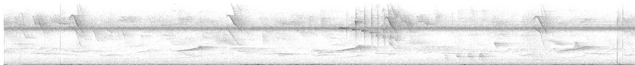 Rufous-tailed Hummingbird - ML633850435