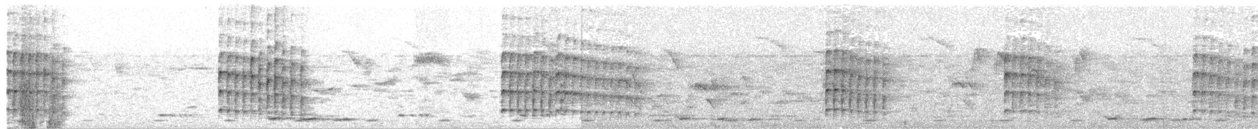 White-naped Woodpecker - ML633850896