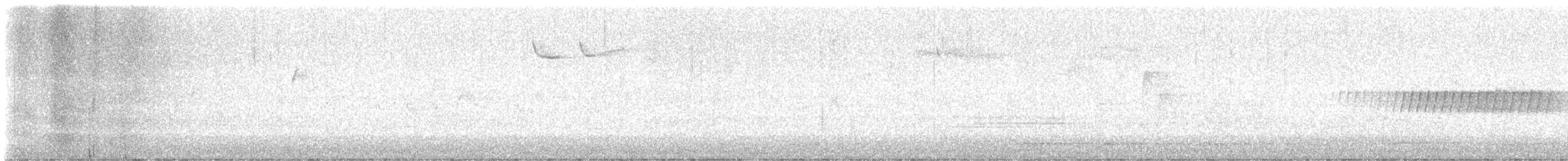 Pine Warbler - ML633855869