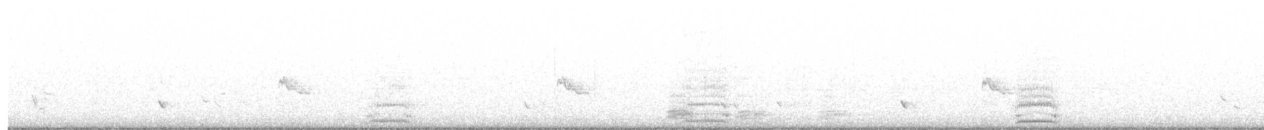 White-necked Raven - ML633864337