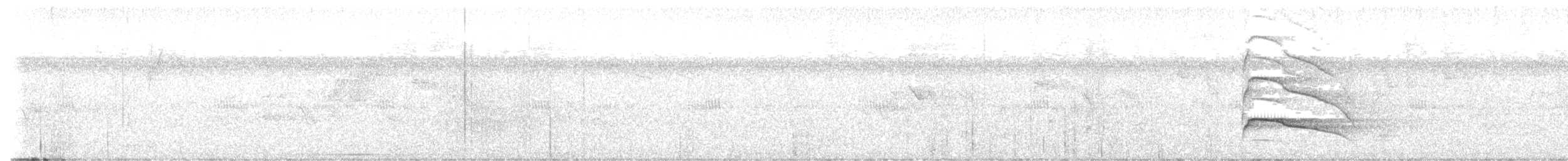 Gray-lined Hawk - ML633864464