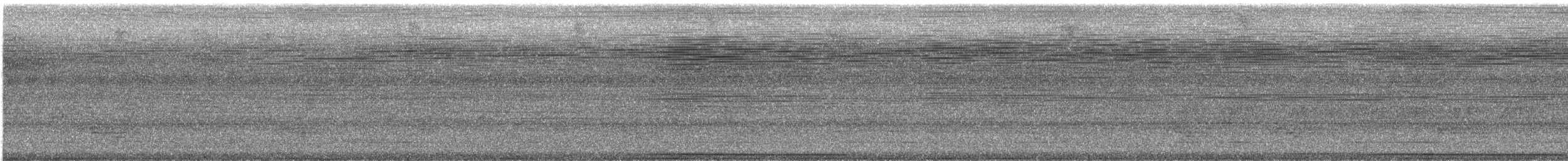 Colombe de Cassin - ML633865042