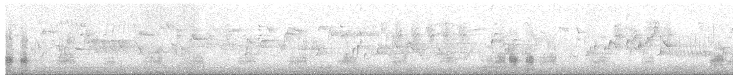 綠頭鴨 - ML633866324