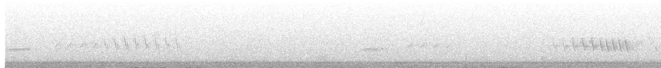 Grace's Warbler - ML633870782