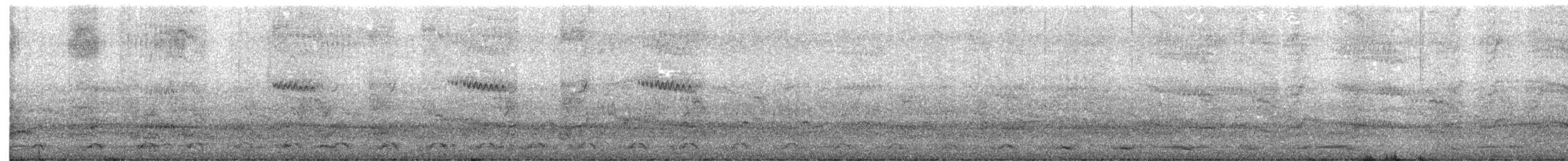 Cassin's Auklet - ML633871830