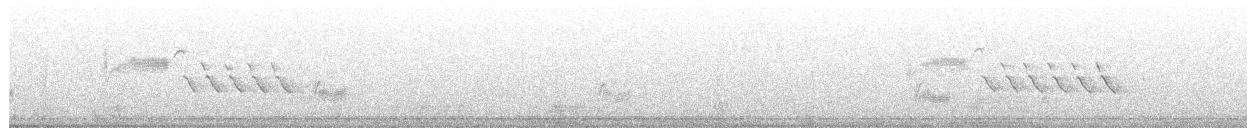 Bewick's Wren - ML633872792
