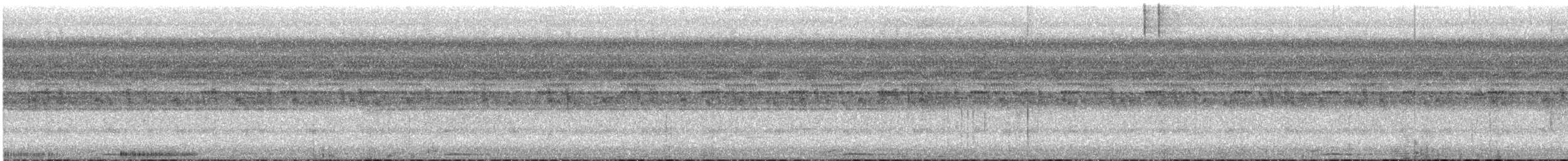 オナガタチヨタカ - ML633876893