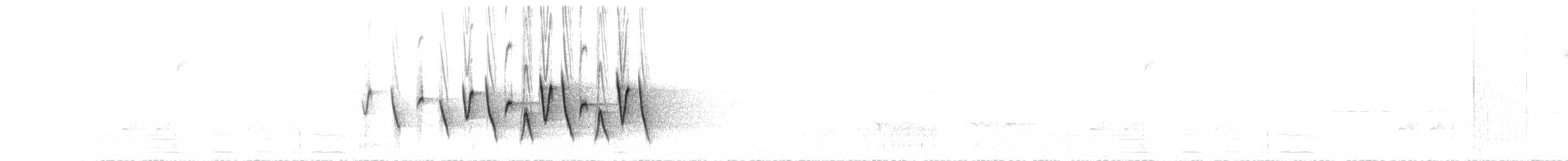 Connecticut Warbler - ML633879885