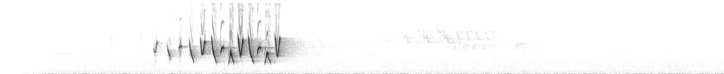 Connecticut Warbler - ML633879887