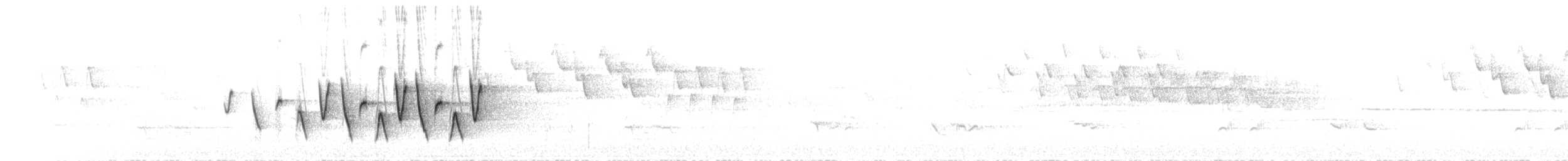 Connecticut Warbler - ML633879889