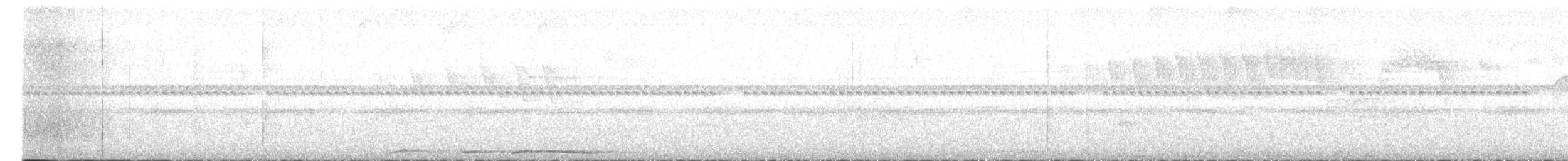 Plumbeous Pigeon - ML633889456