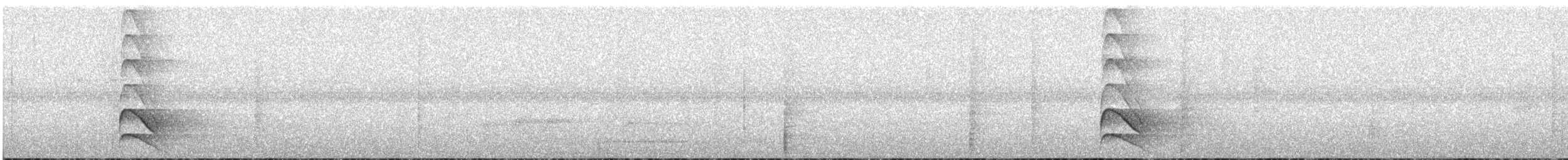 Australian Owlet-nightjar - ML633890529