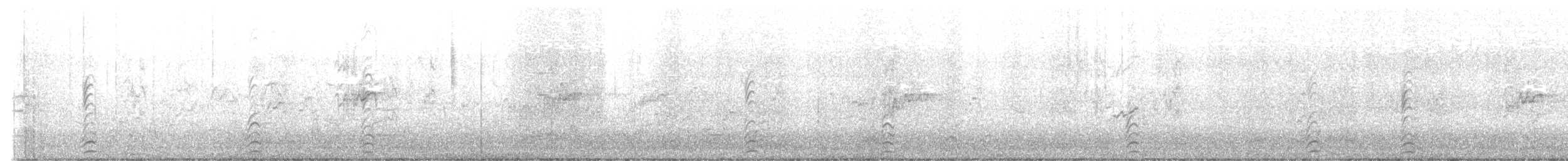 Pied Stilt - ML633891853