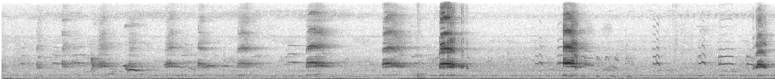 Gray-headed Swamphen - ML633892258