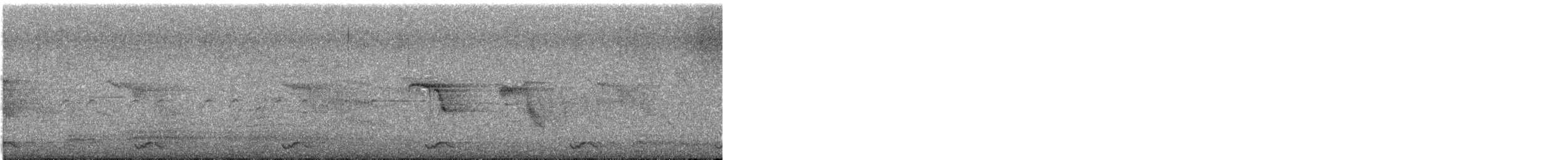bird sp. - ML633892814