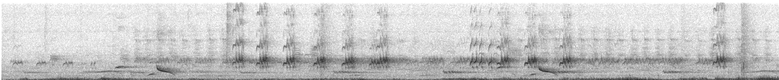 Blue-tailed Bee-eater - ML633893468