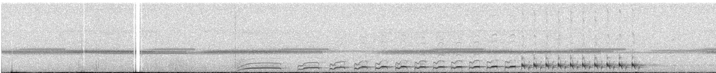 Spotted Nightjar - ML633894035