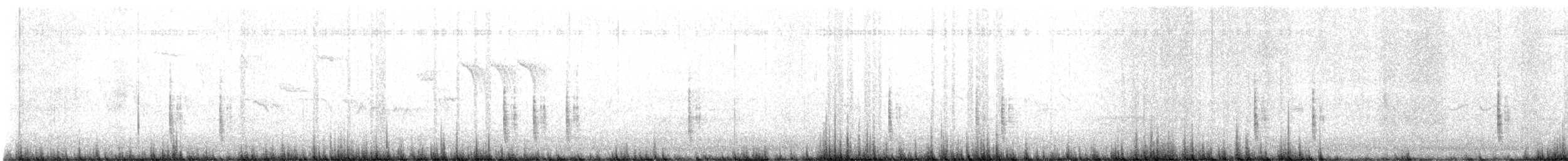クビワツグミ（torquatus） - ML633894918